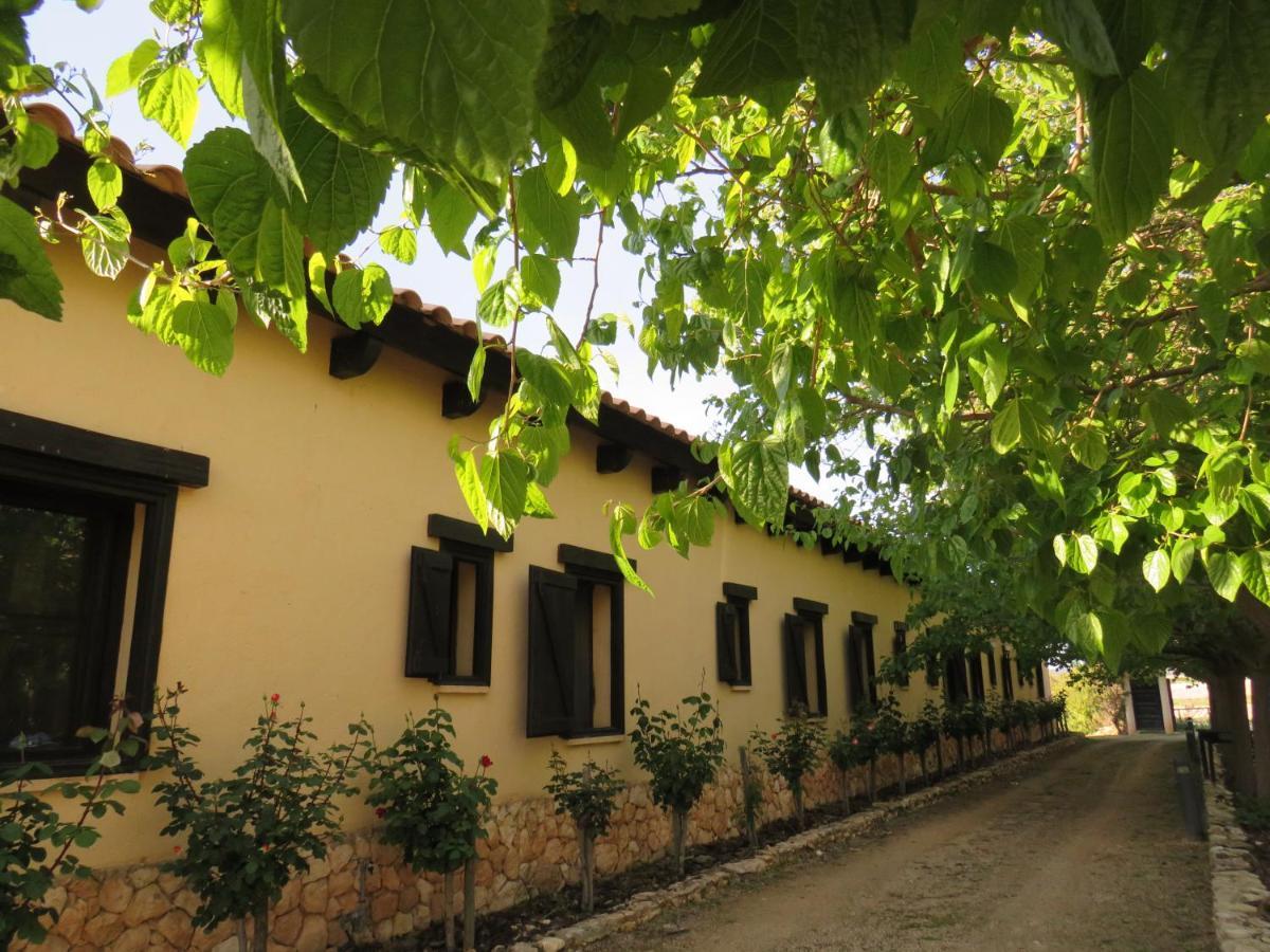Hotel Enoturismo Mainetes Fuente-Álamo Екстериор снимка